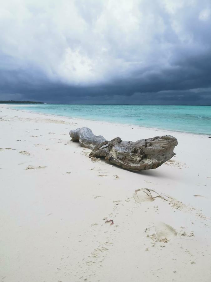 Faima Fishing Lodge At Daravandhoo Dharavandhoo Esterno foto