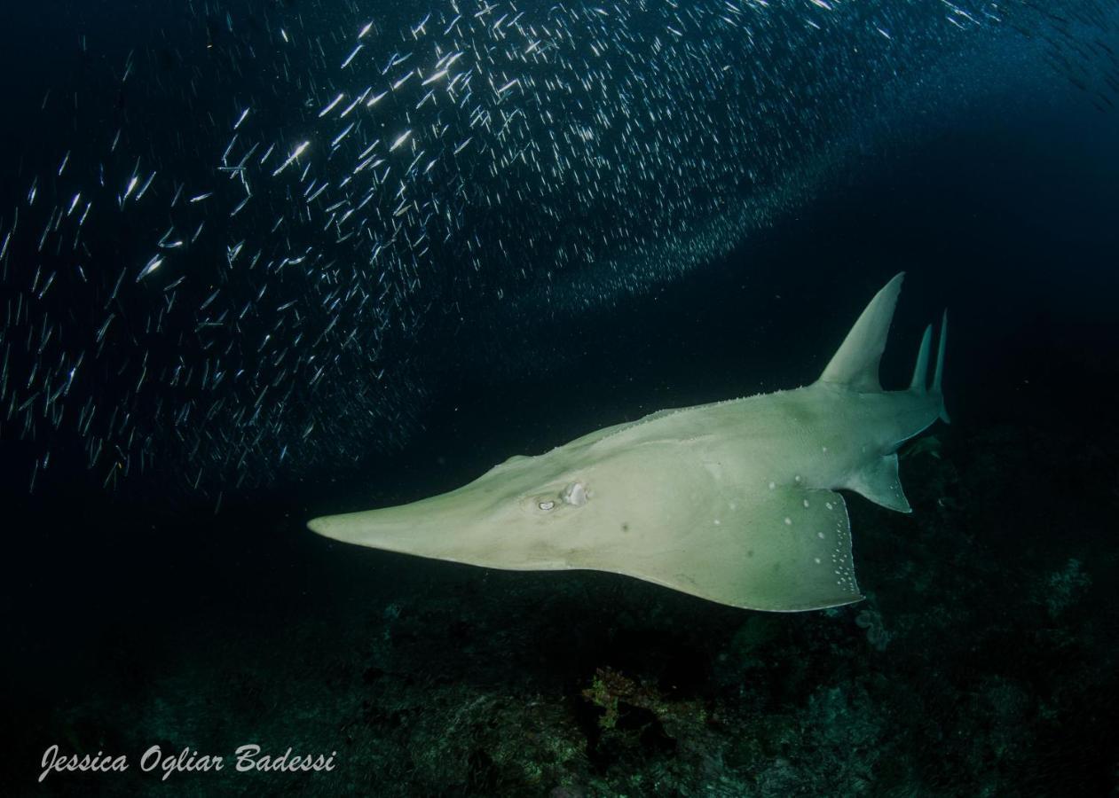 Faima Fishing Lodge At Daravandhoo Dharavandhoo Esterno foto