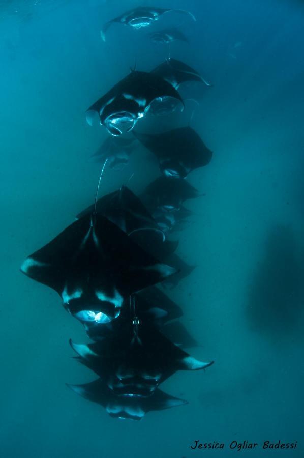 Faima Fishing Lodge At Daravandhoo Dharavandhoo Esterno foto