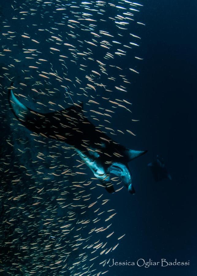 Faima Fishing Lodge At Daravandhoo Dharavandhoo Esterno foto