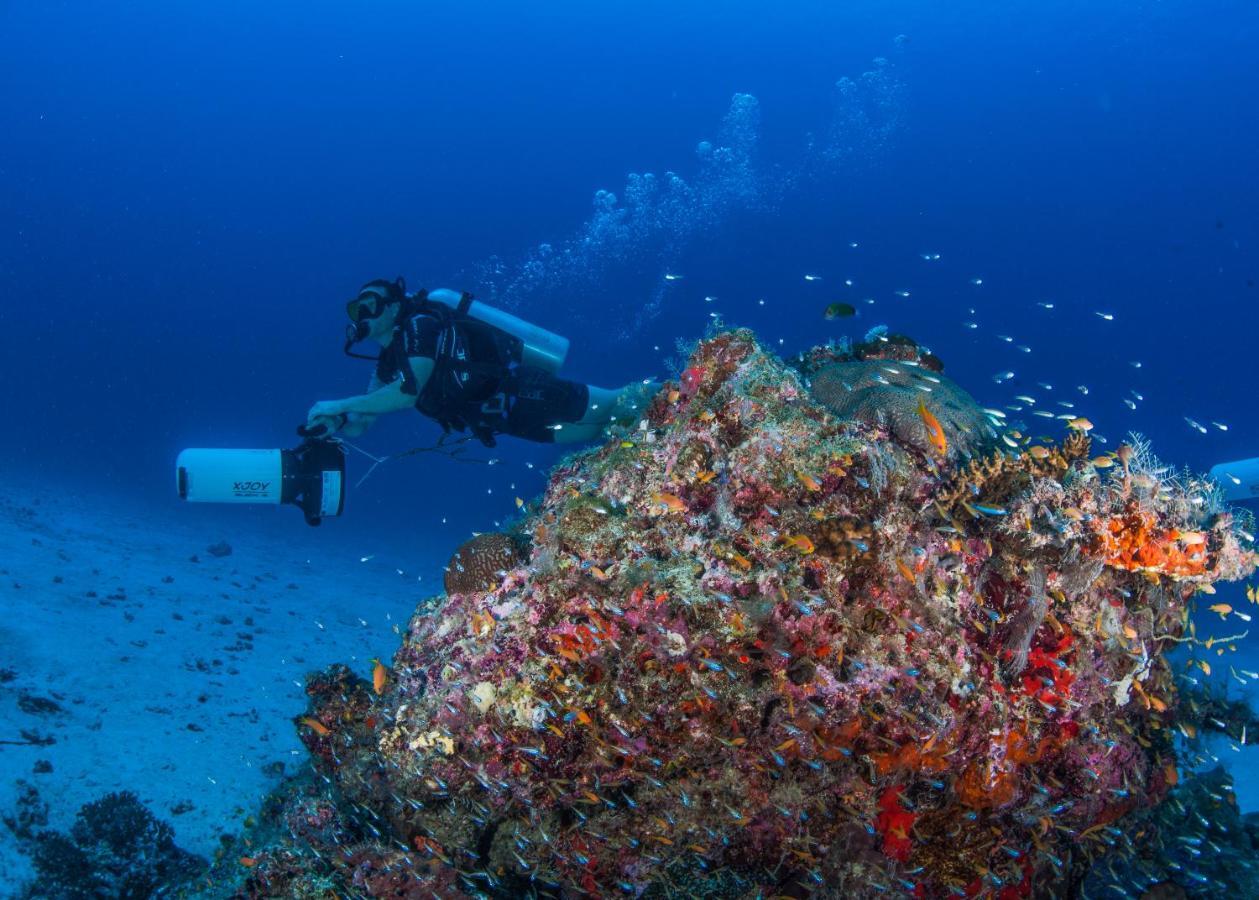 Faima Fishing Lodge At Daravandhoo Dharavandhoo Esterno foto