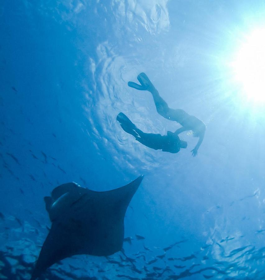 Faima Fishing Lodge At Daravandhoo Dharavandhoo Esterno foto